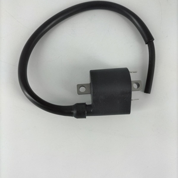 Bobina Hyosung Aquila GV 250 Fi 2015 - Imagen 1