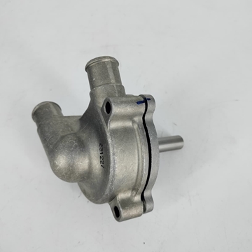 Bomba de agua SWM RS, SM y Superdual - Imagen 1