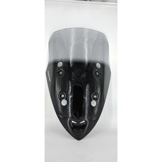 Cupula Ermax Kymco Xcting 250 / 300 / 500 - Imagen 1