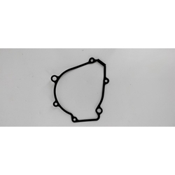 Junta tapa de alternador SWM RS 300 R - Imagen 1