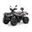 Linhai LH 550 Promax FEI 4X4 ATV Gris - Imagen 1