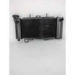 Radiador Kymco Venox 250 (OCASION) - Imagen 1