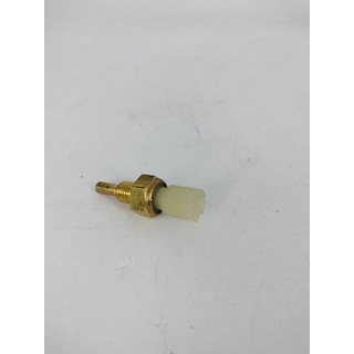 Sensor de temperatura de agua SWM - Imagen 1