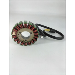 Stator SWM Super Dual 650 - Imagen 2