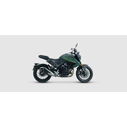 SWM Gran Milano 500 verde - Imagen 2
