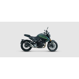 SWM Gran Milano 500 verde - Imagen 2