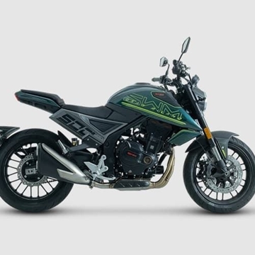 SWM Gran Milano 500 verde - Imagen 2