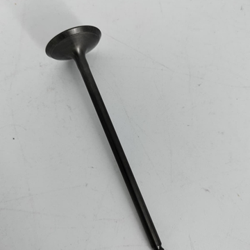 Válvula arbol de levas Hyosung GV 650 y ST7 - Imagen 1